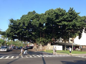 People on street against trees in city