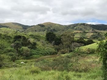 Scenic view of green landscape against sky