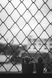 Close-up of chainlink fence against sky