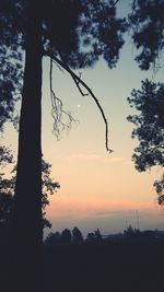 Silhouette of trees against sky at sunset