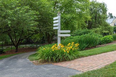 View of flowering plants in park
