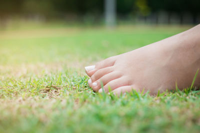 Person hand on grass