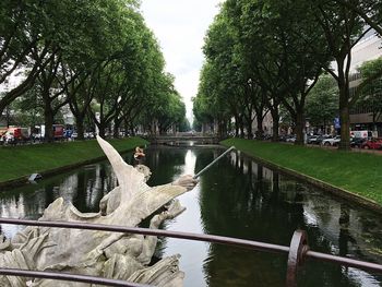 View of trees in park