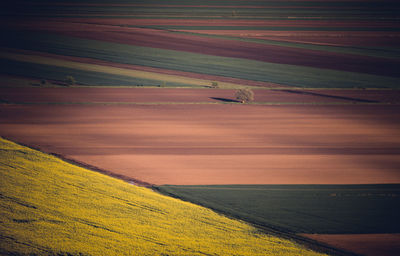 High angle view of agricultural landscape