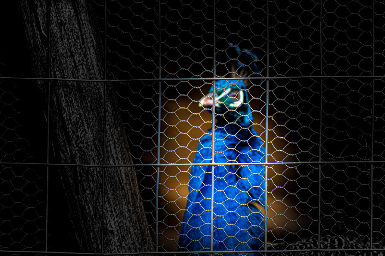 CLOSE-UP OF BLUE FENCE IN THE BACKGROUND