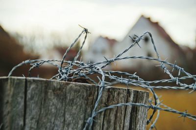 Close-up of barbed wire fence on wood