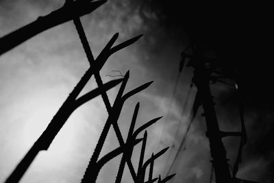 Low angle view of silhouette plant against sky