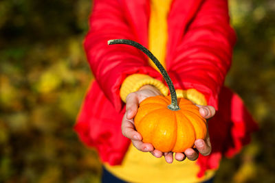 Close-up of hand holding pumpkin