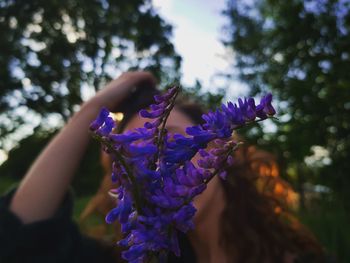 Close-up of purple flowering plant