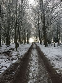 Road passing through trees