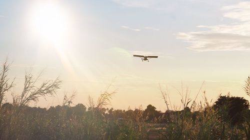 Low angle view of helicopter flying over field against sky
