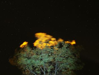 Scenic view of landscape against sky at night