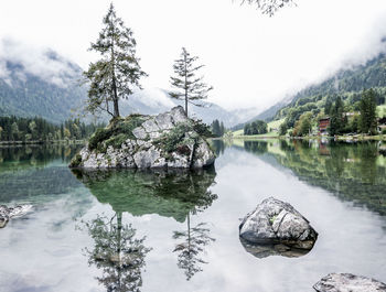 Scenic view of lake by trees against sky