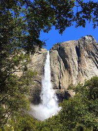 Low angle view of waterfall in forest