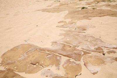 High angle view of sand on beach