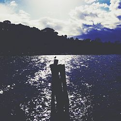 Silhouette people standing in water