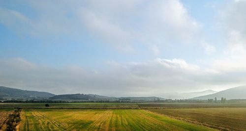 Scenic view of agricultural field against sky