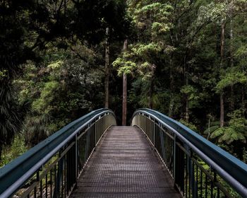 This is a photo of a bridge in a forest