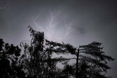 Low angle view of silhouette trees against sky at night