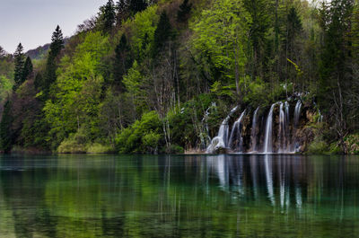 Scenic view of lake against trees