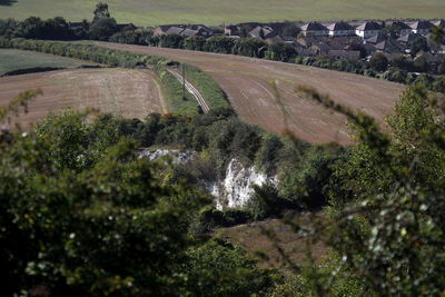 High angle view of road amidst trees on field