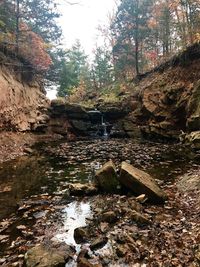 Stream flowing through rocks in forest