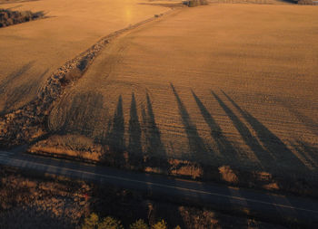 Scenic view of agricultural field