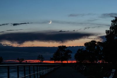 Scenic view of silhouette trees against sky at night