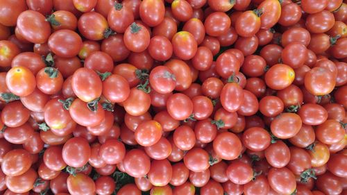 Full frame shot of tomatoes