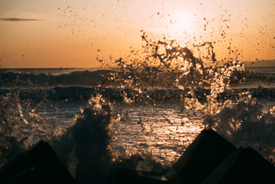 Close-up of silhouette tree against sea during sunset