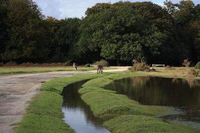 View of a lake