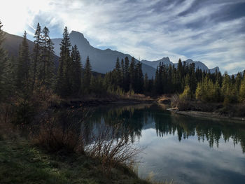 Scenic view of lake by trees against sky