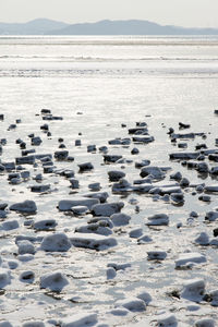 Scenic view of sea against sky during winter