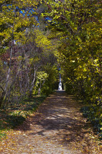 Footpath amidst trees