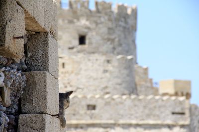 Low angle view of castle