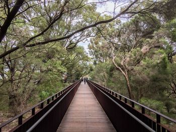 Footbridge amidst trees