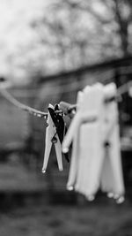 Close-up of clothes drying on clothesline