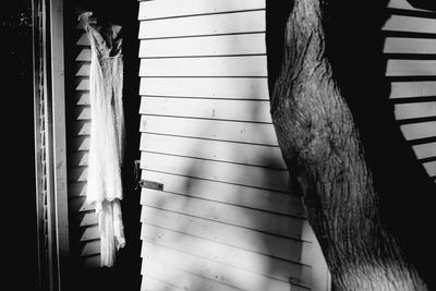 Close-up of tree trunk against wall