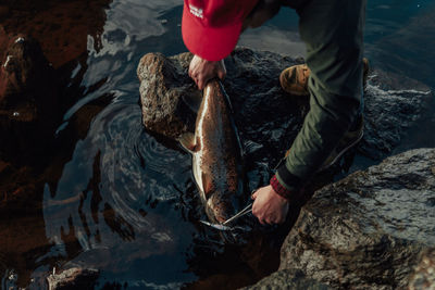 Man holding fish in sea