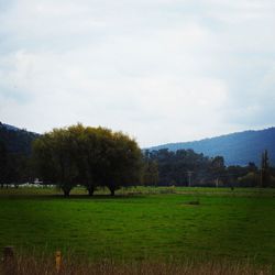 Scenic view of green landscape and mountains against sky
