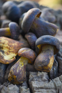 Close-up of rusty metal