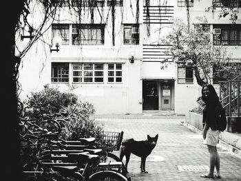 Man with dog on street