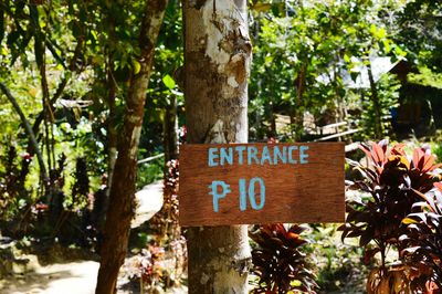 Entrance sign on tree trunk