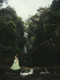 Woman standing by tree in forest