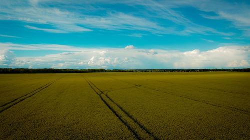 Scenic view of agricultural field against sky