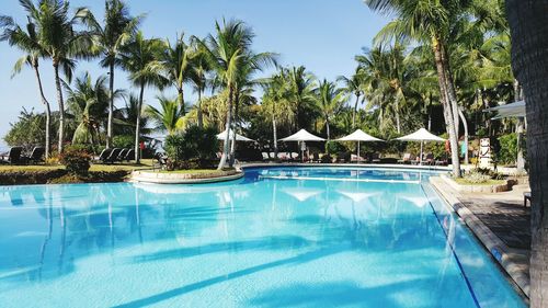 Swimming pool with palm trees reflection during sunny day