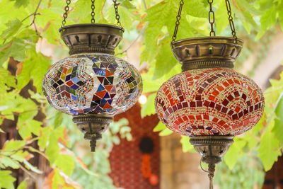 Low angle view of lanterns hanging on plant