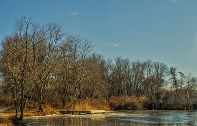 Scenic view of river and trees against clear sky