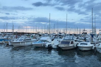 Sailboats moored in harbor