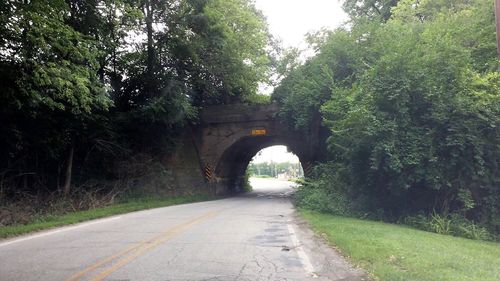 Road passing through trees